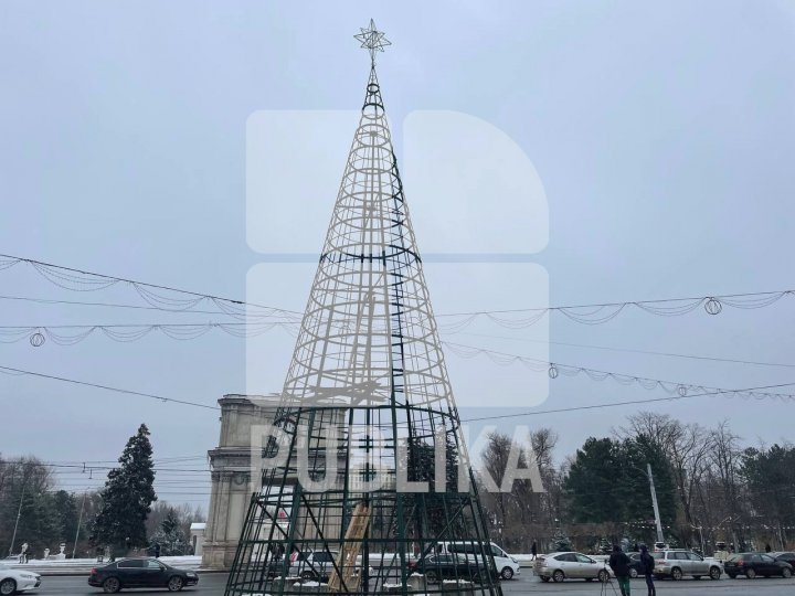 MAGIA sărbătorilor de iarnă. A început instalarea POMULUI de CRĂCIUN în PMAN (FOTO)