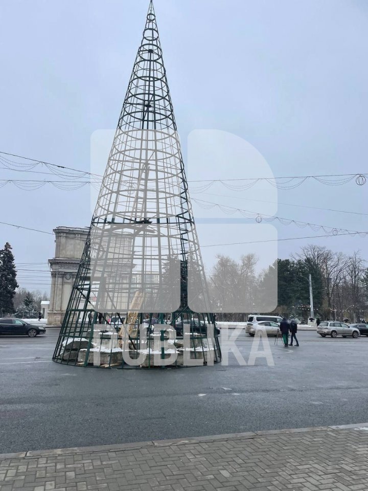 MAGIA sărbătorilor de iarnă. A început instalarea POMULUI de CRĂCIUN în PMAN (FOTO)