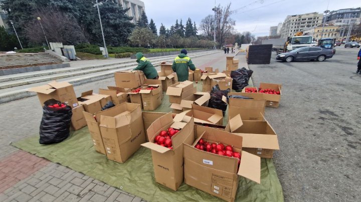 Centrul Capitalei îmbracă straie de SĂRBĂTOARE. Ce surprize îi aşteaptă pe chișinăuieni (FOTO)