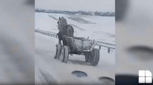 Imagini incredibile: o căruță fără căruțaș se deplasează pe carosabil (VIDEO)