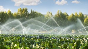 VIDEO Ministrul Agriculturii: Moldova dispune de 88 de sisteme centralizate de irigare, doar 24 sunt funcționale, restul sunt RUINE COMPLETE 