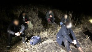38.500 dolari, prețul trecerii ilegale a frontierei pentru cinci migranți ucraineni. Două persoane, REŢINUTE (VIDEO)