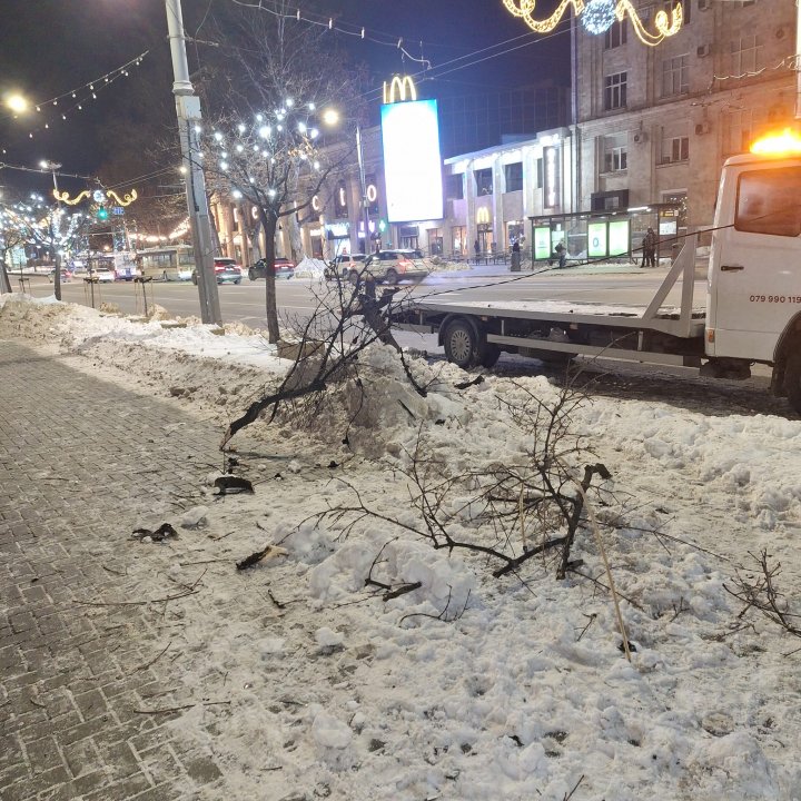 FOTO. A făcut prăpăd. DETALII de la poliție privind accidentul de lângă Primăria Chișinău. Cine era la volanul mașinii, care a doborât un copac