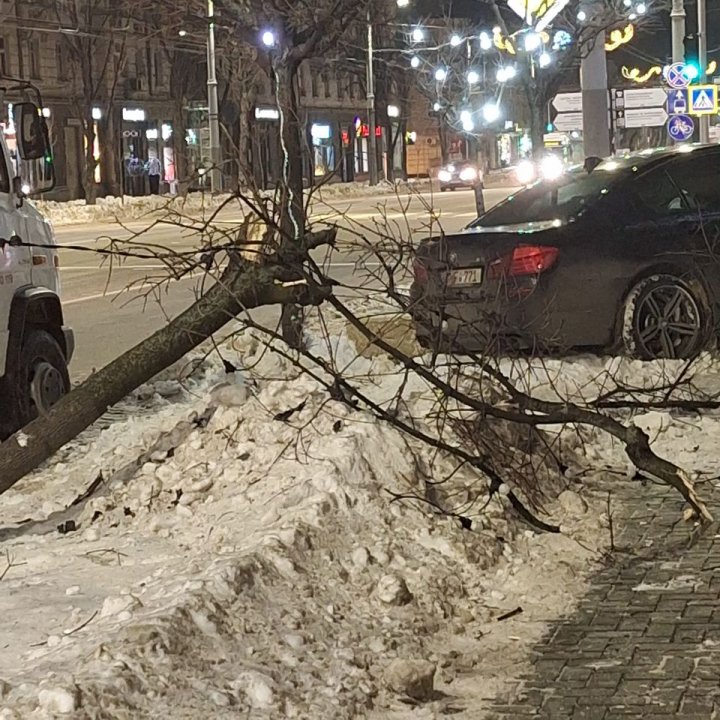 FOTO. A făcut prăpăd. DETALII de la poliție privind accidentul de lângă Primăria Chișinău. Cine era la volanul mașinii, care a doborât un copac