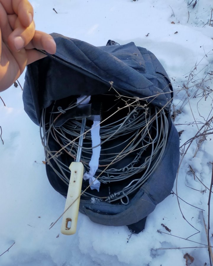 Au UCIS cu sânge rece un căprior și o căprioară, într-o pădure din Donduşeni. Imagini ŞOCANTE (FOTO)