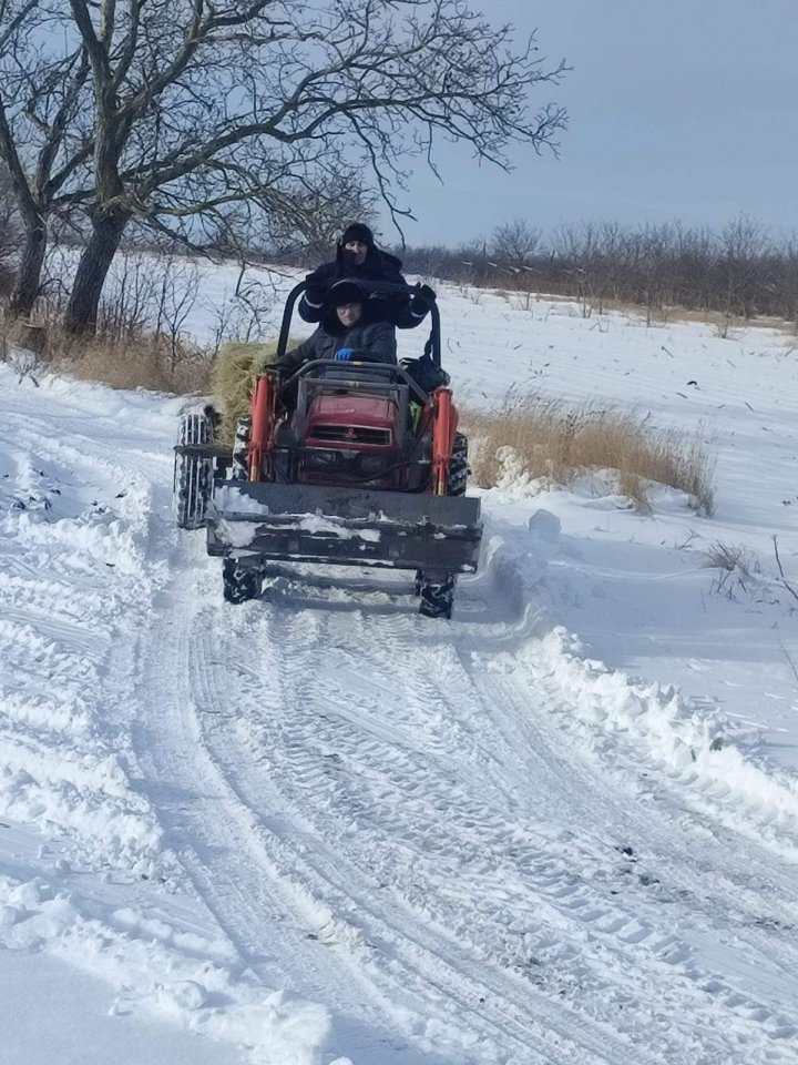 FOTO Inspectorii de mediu au grijă ca animalele sălbatice să nu ducă lipsă de hrană. Au fost amenajate hrănitoare special concepute 