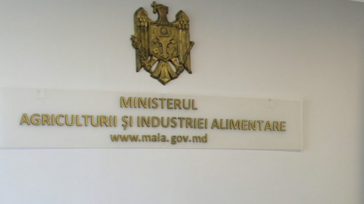 Noi funcţii? O nouă unitate de secretar de stat va fi instituită la MAIA