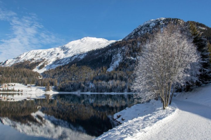 Cum arată stațiunea de schi elvețiană Davos, unde s-au reunit liderii planetei la Forumul Economic Mondial (GALERIE FOTO)