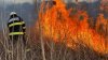 INCENDIU puternic în localitatea Etulia: Au ars circa 300 metri pătrați de stufăriș (FOTO)