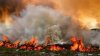 AVERTISMENT: E pericol de izbucnire a incendiilor de vegetaţie de proporţii în Moldova. Ce trebuie să ştie cetăţenii