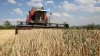 Fermierii mici și gospodăriile rurale vor primi ajutoare de circa un milion de dolari, anunţă Ministerul Agriculturii