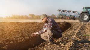 Peste 85 milioane de lei au fost distribuiți pe conturile agricultorilor, săptămâna trecută