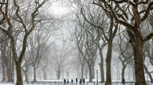 O furtună de iarnă cu deplasare rapidă ar urma să afecteze nord-estul Statelor Unite