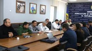 Un grup de lucru pentru identificarea soluțiilor la problemele agricultorilor a fost constituit, anunţă Ministerul Agriculturii