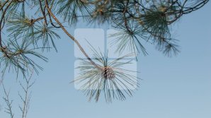 Cum ne surprinde vremea și ce temperaturi ne așteaptă marți