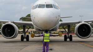 Un șobolan a ŢINUT la SOL un avion timp de 3 zile. VEZI ce s-a întâmplat mai departe