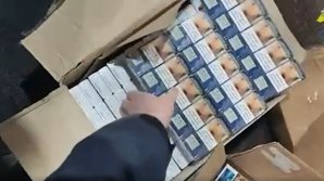 Cutii, ticsite cu sute de țigări, găsite la vama Leuşeni. Unde intenţionau să ajungă (VIDEO)