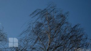 Vine FURTUNA. Meteorologii au emis COD GALBEN de VÂNT