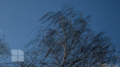 Vine FURTUNA. Meteorologii au emis COD GALBEN de VÂNT