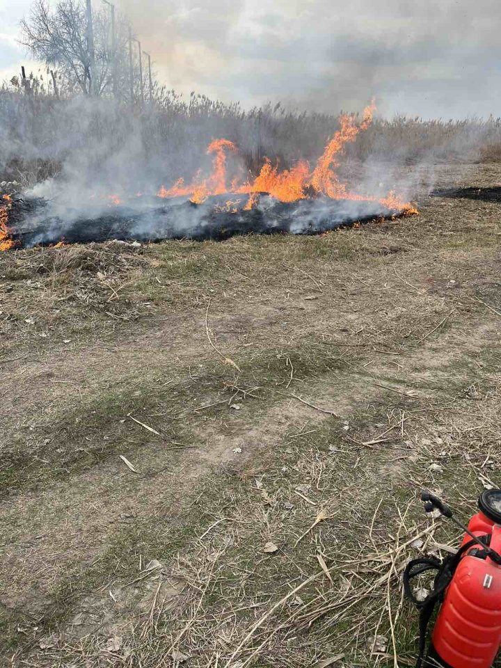 Ce amenzi riscă persoanele care vor arde frunzele şi deşeurile menajere