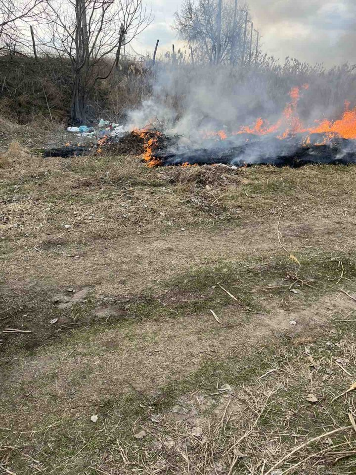 Ce amenzi riscă persoanele care vor arde frunzele şi deşeurile menajere