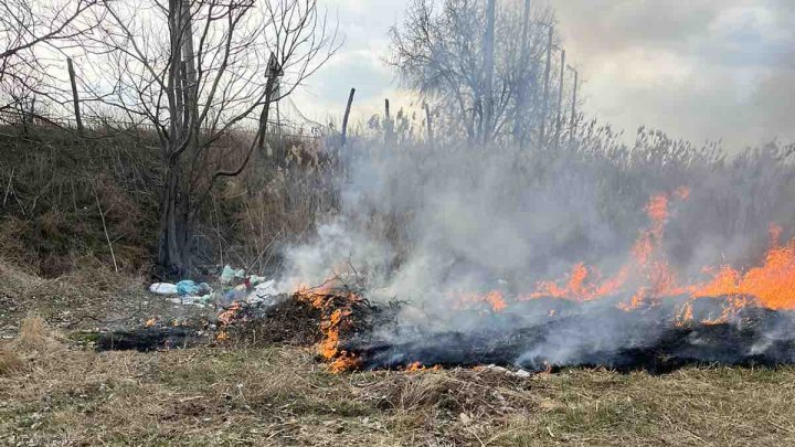 Ce amenzi riscă persoanele care vor arde frunzele şi deşeurile menajere