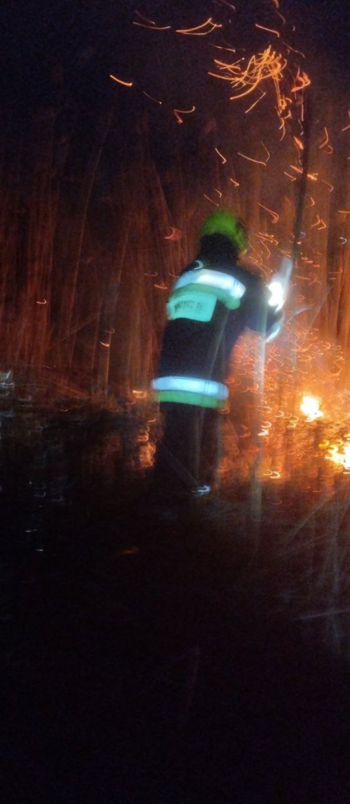 INCENDIU puternic în localitatea Etulia: Au ars circa 300 metri pătrați de stufăriș (FOTO)