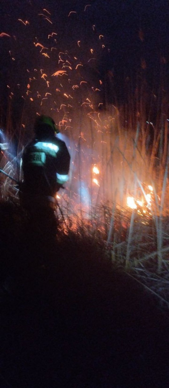 INCENDIU puternic în localitatea Etulia: Au ars circa 300 metri pătrați de stufăriș (FOTO)