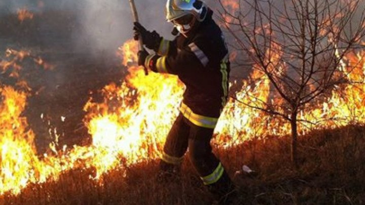 Moldova, în FLĂCĂRI. Sute de hectare de vegetaţie, făcute scrum în mai multe raioane, în ultimele 24 de ore