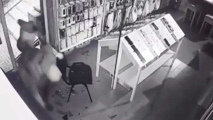 VIDEO JAF în magazine din Nisporeni și Călărași. Au fost furat telefoane mobile de peste 99 500 de lei. Cine sunt suspecţii