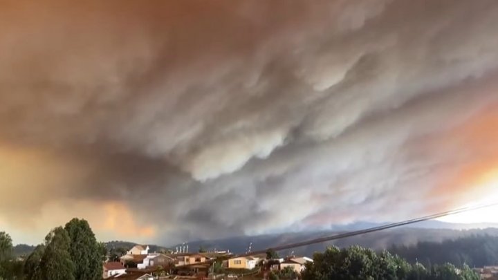 Incendiile de pădure din Chile - Bilanţ provizoriu de zece morţi şi a fost declarată starea de urgenţă