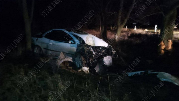 Urmărire ca în filme la Dubăsari: Șofer beat a fugit de poliție și s-a lovit într-un copac FOTO