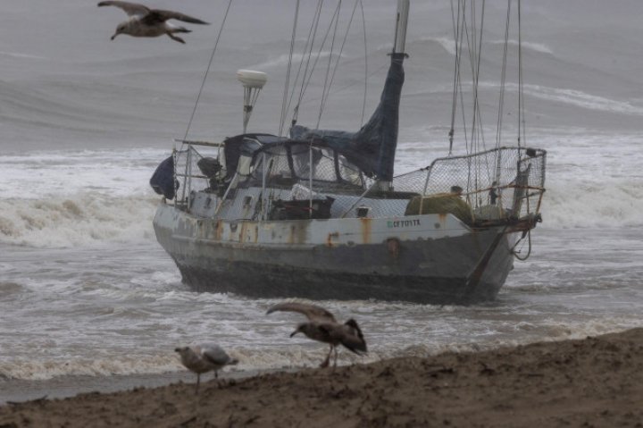 (FOTO) Stare de urgență în California din cauza unei vijelii cu forța unui uragan. Inundații în Los Angeles: "O furtună istorică"  