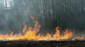 Молдова переходит к европейским нормам оценки природных бедствий