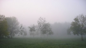 Погода на 20 сентября 2010