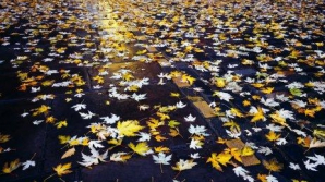 Погода на 23 ноября 2010