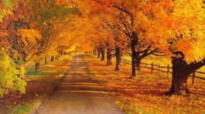 Погода на 17 ноября 2010