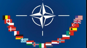 Михай Грибинча: Отношения Молдовы и НАТО не развиваются из-за предвзятого отношения