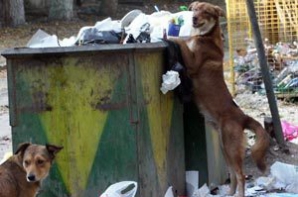 Наследие будущего мэра Кишинева