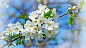 Погода на 28 апреля 2011