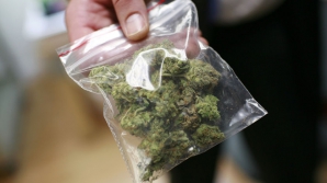 За продажу марихуаны в Кишиневе двое молодых людей могут получить семь лет тюрьмы