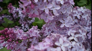 Погода на 9 мая 2011 