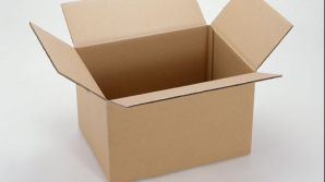 Картонные коробки вместо избирательных урн