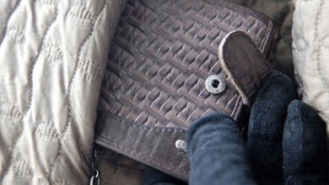 Девятнадцатилетняя девушка крала кошельки у продавцов коммерческих центров