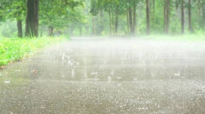 Погода на 28 июня 2011