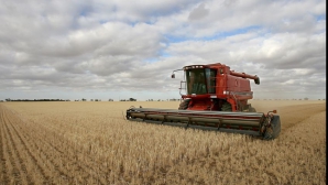 Стартует приём документов для субсидирования фермеров на 2011 год 