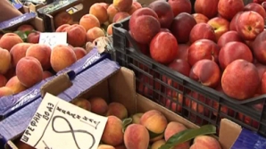 Богатый урожай молдавских фруктов способствовал снижению цен на них