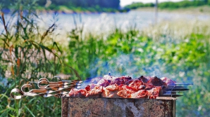 Молдаване отметили «Limba Noastră» на … природе с шашлыками