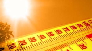 Синоптики предупреждают о вероятности пожаров из-за жары