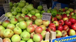 Российские импортёры яблок могут отказаться от молдавской продукции